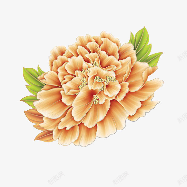 古典牡丹花png免抠素材_88icon https://88icon.com 庄重 彩色 手绘 花朵