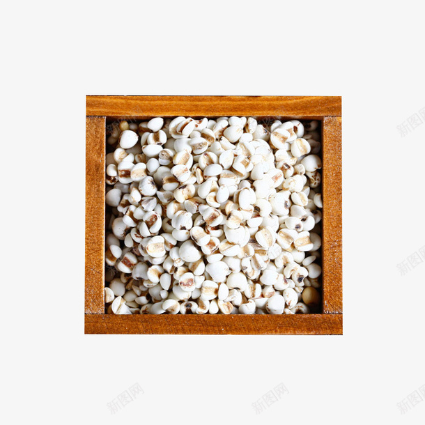 小薏米仁薏营养粗粮png免抠素材_88icon https://88icon.com 仁薏 农家 意米 无添加 米面杂粮 粗粮 苡仁 薏仁米