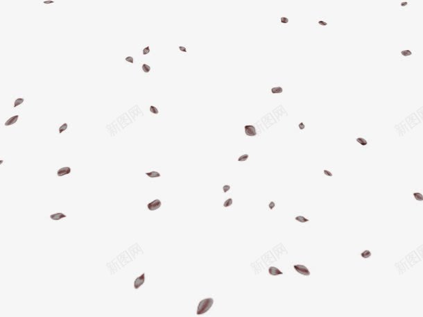 星星点点的灰色花瓣雨png免抠素材_88icon https://88icon.com 一朵朵 星星点点 洒落花瓣 灰色 花瓣 花瓣掉落 花瓣遍地 雨