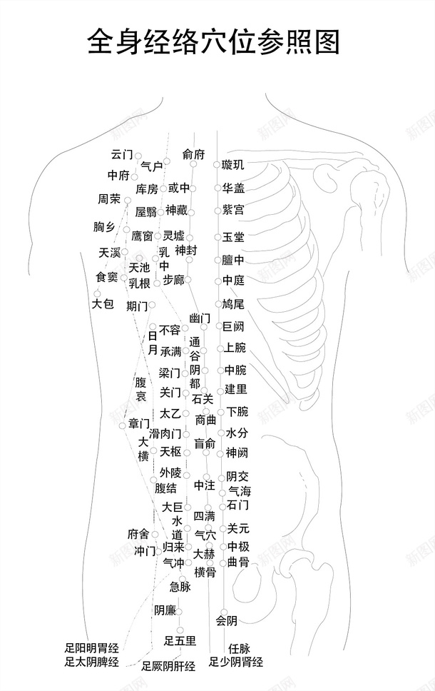 手绘黑白片矢量图ai免抠素材_88icon https://88icon.com 人体经络 人体经脉 人体经脉图 人体设计 十二 卡通设计 手绘设计 矢量图 经络图 经脉设计 背部