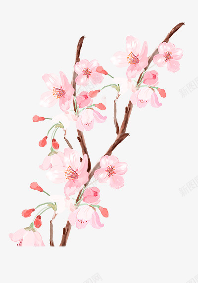 花栀子花png免抠素材_88icon https://88icon.com 免扣素材 栀子花 粉色 花