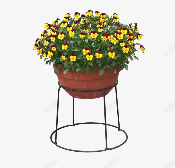 一盆花png免抠素材_88icon https://88icon.com 盆栽 花 铁架子
