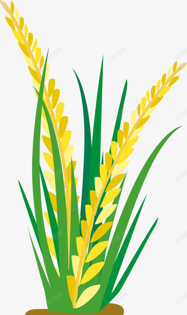 卡通稻谷麦穗png免抠素材_88icon https://88icon.com 农田 卡通 大米 小米穗 水稻 燕麦 稻田 稻谷 米穗 麦子 麦穗