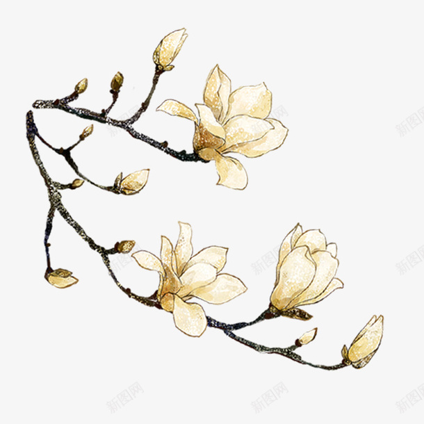 白色富贵花朵元素png免抠素材_88icon https://88icon.com 如懿传 富贵 植物 清宫剧 环境 白色 纹理 自然 花朵