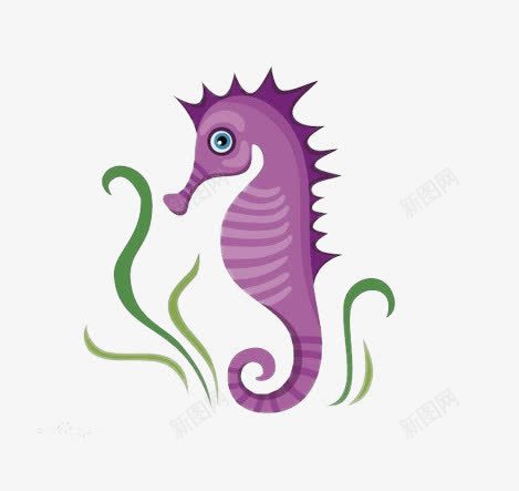 紫色的海马片png免抠素材_88icon https://88icon.com 卡通手绘海马 海洋生物图片 海草 海草图片 海葵图片 海马背景图片 装饰图片海马