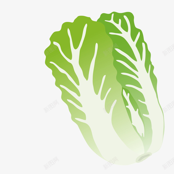 卡通手绘绿色的白菜png免抠素材_88icon https://88icon.com 创意 动漫动画 卡通手绘 白菜 绿色的 菜叶