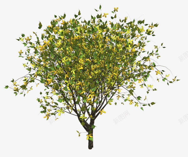 树枝png免抠素材_88icon https://88icon.com 树梢 植物 黄色小花