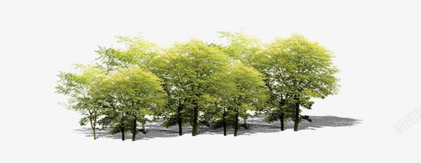 绿色植物片png免抠素材_88icon https://88icon.com 园林景观设计 园林植物 植物平面贴图 花卉植物圆环素材 购物广场图片