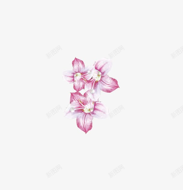 紫色蔷薇花png免抠素材_88icon https://88icon.com 卡通 手绘 简图 紫色 花朵 花瓣 蔷薇花 装饰