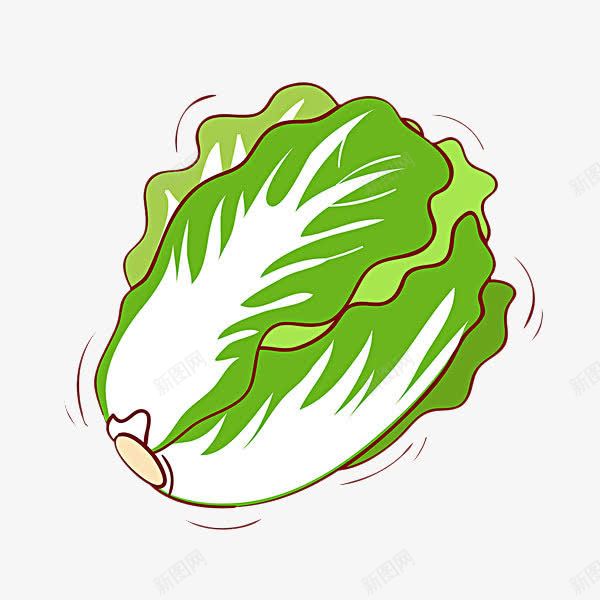 手绘大白菜png免抠素材_88icon https://88icon.com 手绘 有机蔬菜 生食 白菜 蔬菜