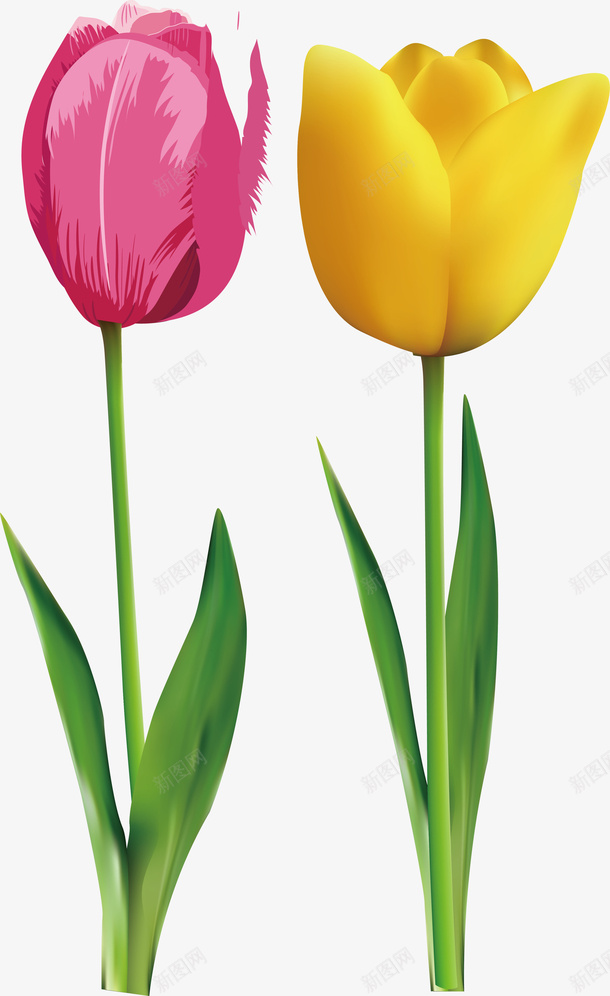 卡通郁金香水彩郁金香矢量图ai免抠素材_88icon https://88icon.com 一束郁金香 油画郁金香 红郁金香 蓝色郁金香 郁金香卡通 郁金香叶子 郁金香矢量 郁金香矢量图 郁金香花 金色郁金香 矢量图