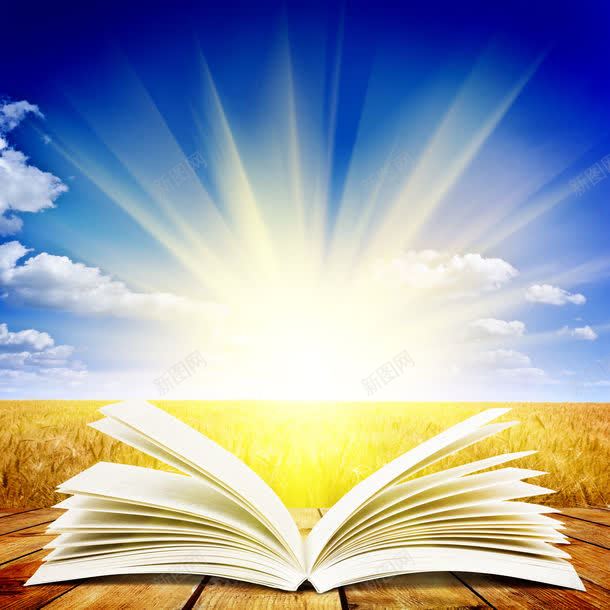 翻开的书本与光芒jpg设计背景_88icon https://88icon.com 书籍 光芒 其它类别 发光的书本 图片素材 翻开的书本 翻开的书本与光芒图片 翻开的书本与光芒图片素材下载 背景花边 麦地 麦田