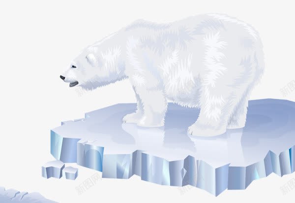 冰块上的北极熊png免抠素材_88icon https://88icon.com 冰块 北极熊 熊 行走的熊