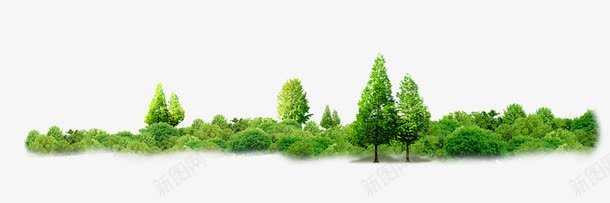 森林的一角png免抠素材_88icon https://88icon.com 树木 森林 植被 自然