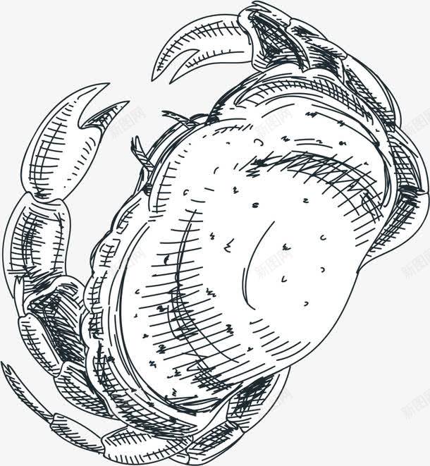 素描大闸蟹手绘图png免抠素材_88icon https://88icon.com 大闸蟹 手绘 海鲜 素描 美味的 螃蟹 螃蟹钳