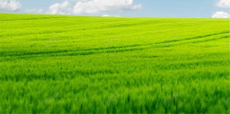 蓝天白云草原清新H5背景jpg设计背景_88icon https://88icon.com H5 h5 摄影 春天 清新 白云 草原 蓝天 风景