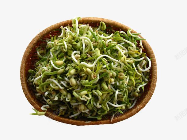 一簸箕豆芽菜png免抠素材_88icon https://88icon.com 健康饮食 发芽的绿豆 小箩筐 烹饪 瓷碗 瘦身 簸箕 素菜 纤体 绿豆芽 美食 蔬菜 豆芽 豆芽菜 黄豆芽