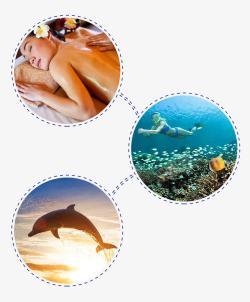 活动项目png图片下载 活动项目素材