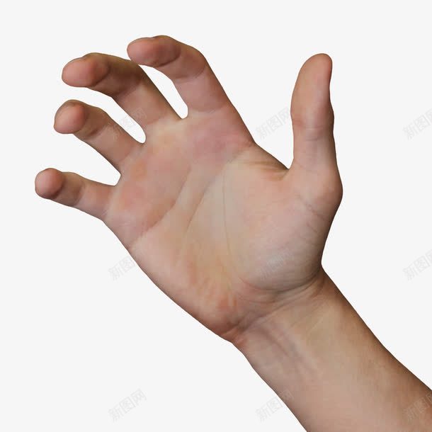 一只手掌png免抠素材_88icon https://88icon.com 手心 手指 手掌 手腕