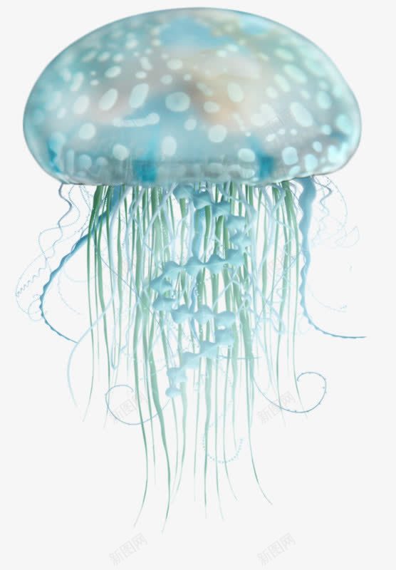 手绘蓝色水母png免抠素材_88icon https://88icon.com 彩色水母 手绘 水母 海洋生物 蓝色
