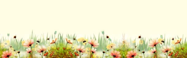 唯美格桑花海报背景jpg设计背景_88icon https://88icon.com banner 唯美 大气 摄影 格桑花 海报背景 淘宝海报 简约 背景 背景素材 通用