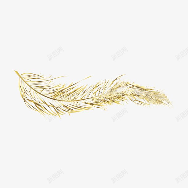 金色羽毛png免抠素材_88icon https://88icon.com 羽毛 金色 金色装饰图案