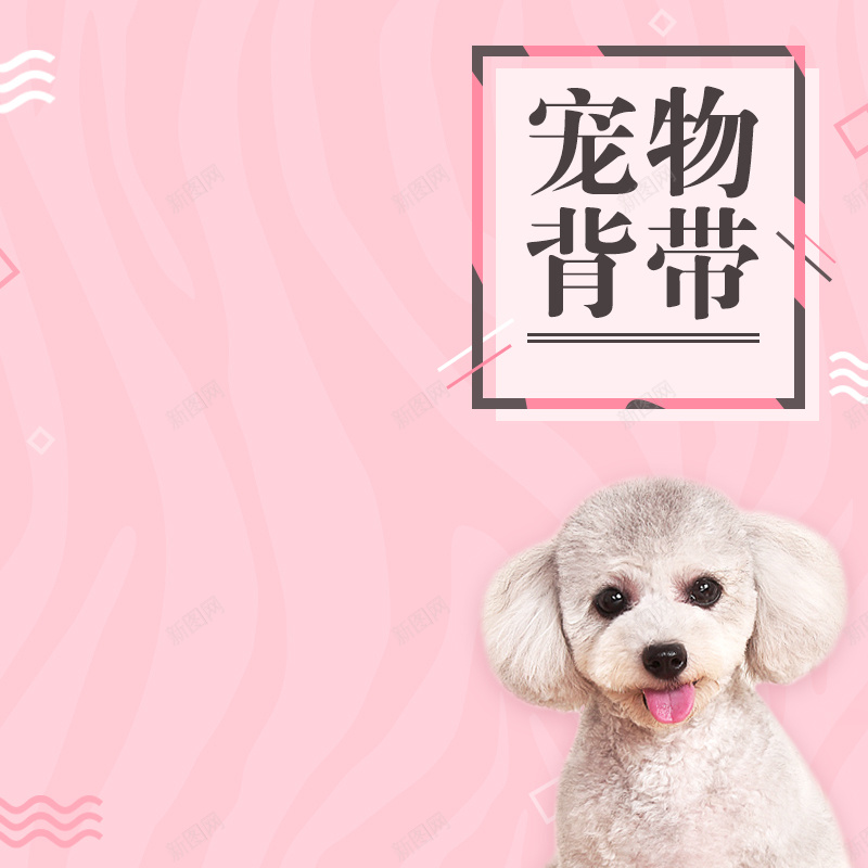 可爱宠物背带促销主图jpg设计背景_88icon https://88icon.com 主图 促销 可爱 宠物用品 宠物背带 扁平 活动 狗狗 粉色