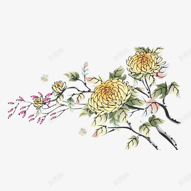 手绘工笔画png免抠素材_88icon https://88icon.com 国画 国画菊花 手绘工笔画 水墨画 水墨菊花 菊花