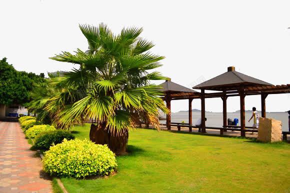厦门海边凉亭png免抠素材_88icon https://88icon.com 厦门风景 城市街景 鼓浪屿风情