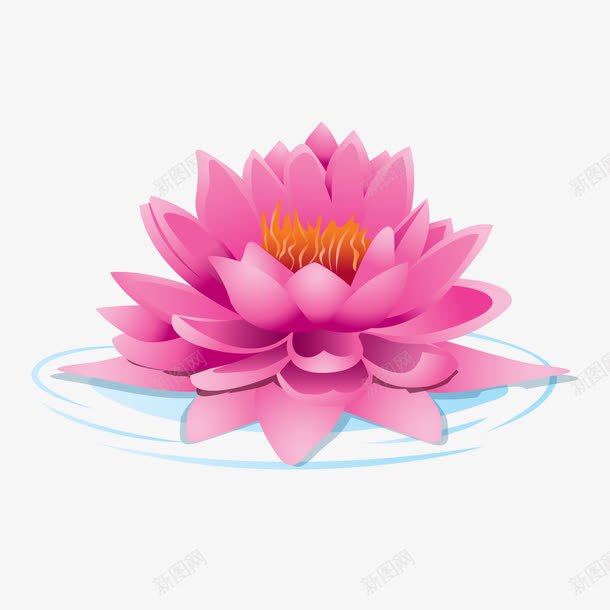 水上粉色荷花png免抠素材_88icon https://88icon.com 水上 矢量荷花 粉色 荷花