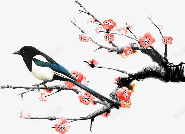 站在梅花的鸟png免抠素材_88icon https://88icon.com 梅花 蓝色 鸟