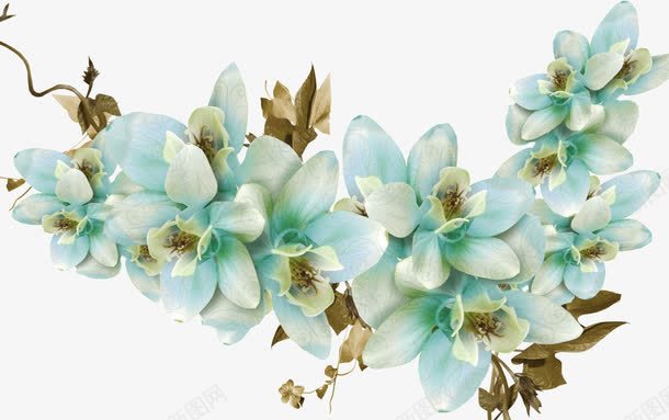 一簇栀子花png免抠素材_88icon https://88icon.com 创意 栀子花 蓝色 设计