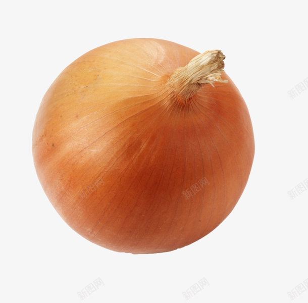 黄色洋葱头食材蔬菜png免抠素材_88icon https://88icon.com 圆形洋葱 圆球状 果蔬 洋葱 洋葱头 菜类图片 蔬菜 食材 食物 黄色