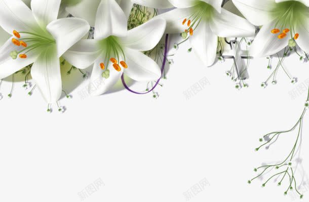百合花装饰花边png免抠素材_88icon https://88icon.com 满天星 白色花 百合花 百合花框 花卉 花朵