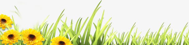 花草边框png免抠素材_88icon https://88icon.com 底边 花草 边框