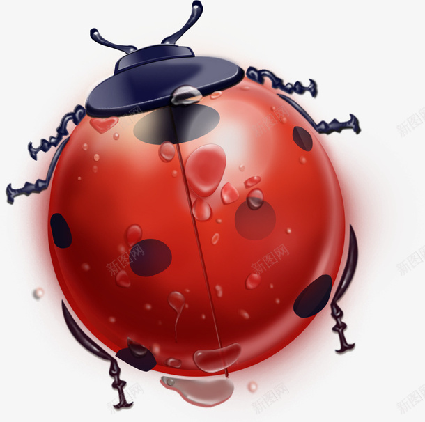 手绘插画卡通七星瓢虫png免抠素材_88icon https://88icon.com 七星瓢虫 动物 卡通 手绘