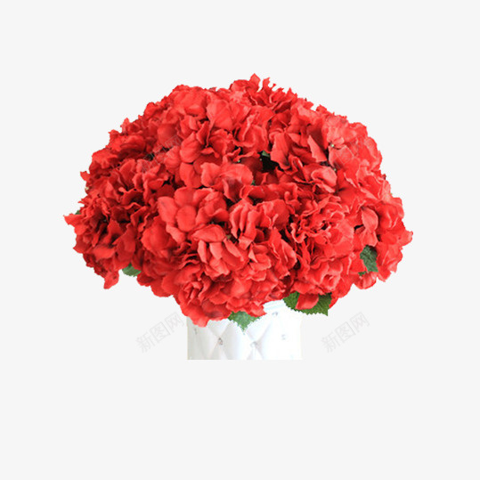 绣球花火团png免抠素材_88icon https://88icon.com 团团簇簇 娇艳欲滴 活泼 热情似火 碧绿的叶子 红色绣球花 茂盛