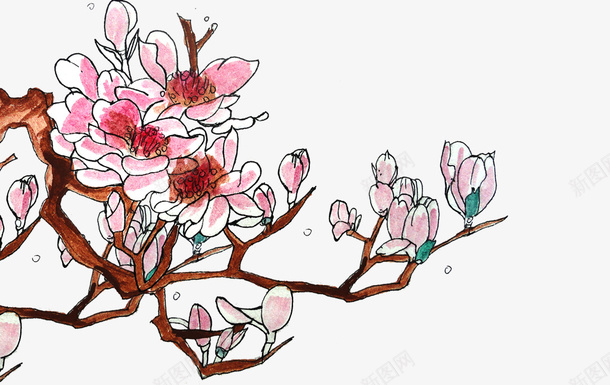 手绘水彩水墨插图玉兰花png免抠素材_88icon https://88icon.com 手绘 春日风格 水墨插图 水彩 玉兰花 花卉装饰