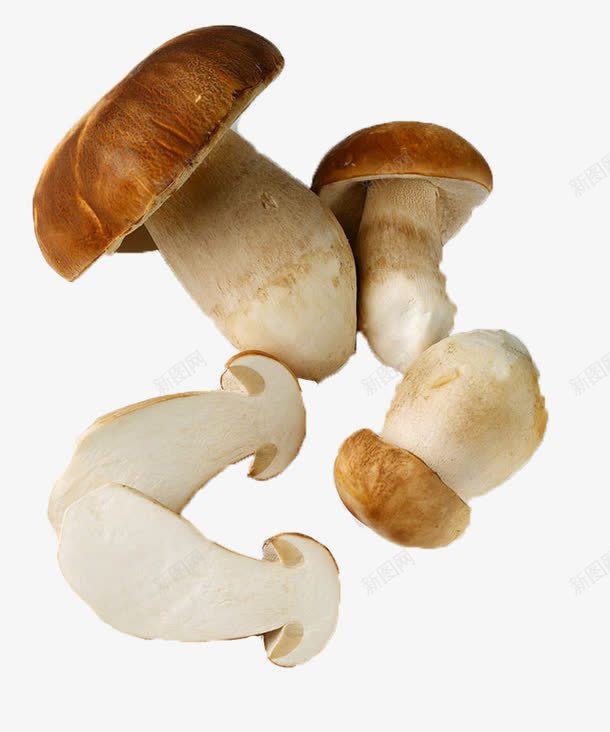 干净的野生松茸png免抠素材_88icon https://88icon.com 农家特产松茸 山珍山货 干松茸 松茸干货 野生松茸 野生松茸干片 野生菌