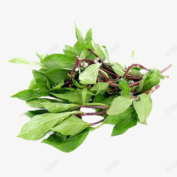 紫菜苔png免抠素材_88icon https://88icon.com 农产品 新鲜蔬菜 有机无公害 红菜苔 绿叶