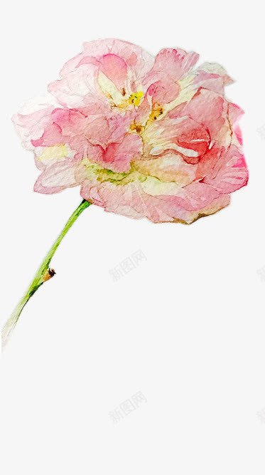 手绘木芙蓉花png免抠素材_88icon https://88icon.com 中国风 木芙蓉 水彩 装饰