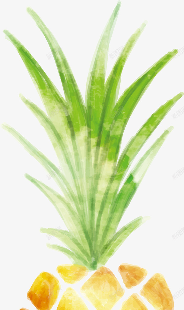 绿色水彩夏日菠萝png免抠素材_88icon https://88icon.com summer 可爱凤梨 夏天 夏季 夏日 夏日菠萝 水彩凤梨 水果