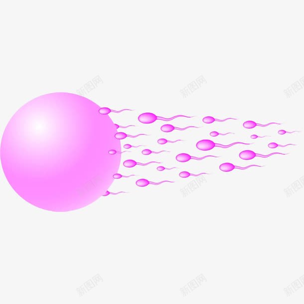 卡通精子和卵子的结合png免抠素材_88icon https://88icon.com 人类 健康 卡通 卡通精子 卵子 受孕 受精 性教育 插画 生殖 精子 繁育