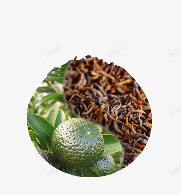 陈皮普洱茶叶绿色叶子青桔png免抠素材_88icon https://88icon.com 产品展示 场景设计图 普洱古树 绿色 茶叶 陈皮 陈皮普洱 青桔