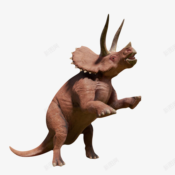 红色站立着的三角龙灭绝生物实物png免抠素材_88icon https://88icon.com 动物 恐龙 死亡 殆尽 消失 灭亡 灭绝生物 爬行动物 物种 生命体 站着 绝种 角