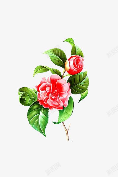 牡丹png免抠素材_88icon https://88icon.com 小鸟 梅花 水墨画 油画 牡丹花 玫瑰花 竹子 蝴蝶