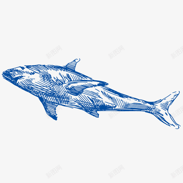 航海捕鱼大鲸鱼元素矢量图ai免抠素材_88icon https://88icon.com 免抠图 复古 大海 大鱼 大鲸鱼 帆船 手绘 手绘卡通 捕鱼 捕鱼业 无 无背景 渔业 矢量图形 素描 航海 设计 透明 矢量图