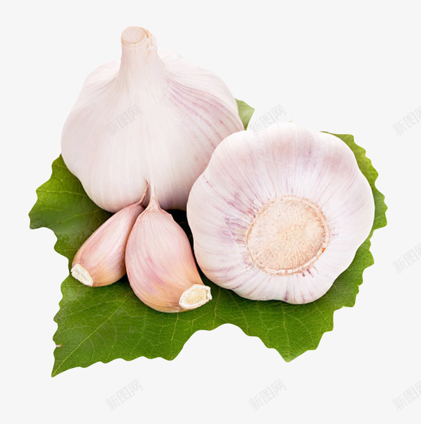 白色健康佐料放在叶子上的大蒜头png免抠素材_88icon https://88icon.com 佐料 免扣 免费下载 大蒜粒 有机 生态 白色健康佐料放在叶子上的大蒜头实物免费下载 白蒜头 调料