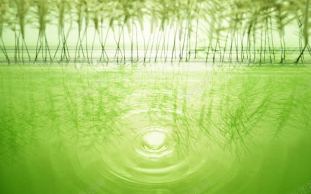 绿色水潭竹林海报背景jpg设计背景_88icon https://88icon.com 水潭 海报 竹林 绿色 背景