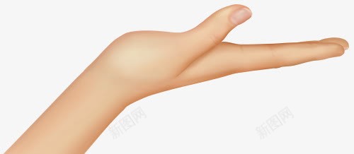 手心朝上手势png免抠素材_88icon https://88icon.com 女士 手势 手心 托着 朝上